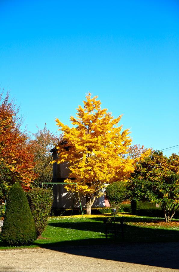 Chateau De Montabert Montaulin Dış mekan fotoğraf